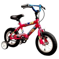 Bicicleta Fiorenza R12 315 FX FULL 2