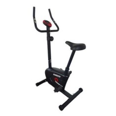 Bicicleta Fija Randers Arg-161 Magnetica