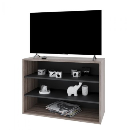 Rack Delos DVS-01 TV 40''