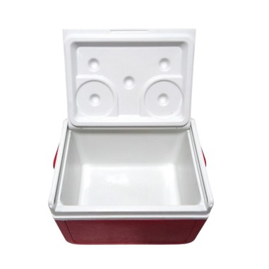 Lunchera Coleman 5205A