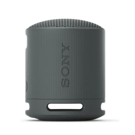 Parlante Portátil Sony SRSX-B100