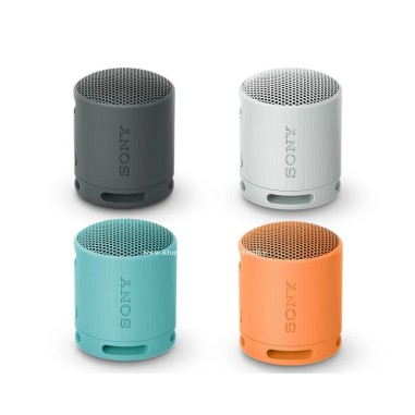 Parlante Portátil Sony SRSX-B100