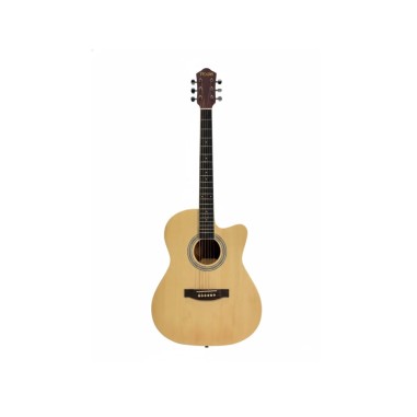 Guitarra Acustica Texas AGM1
