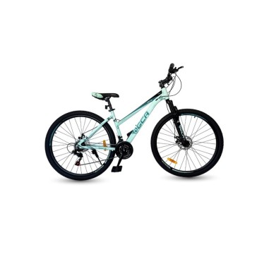 Bicicleta GCA Athena Rodado 29 Aluminio 21v Dama MTB