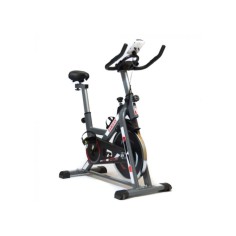 Bicicleta Fija Randers ARG-874SP | Disco 13 kg 2