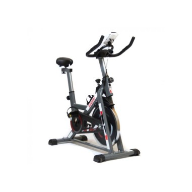 Bicicleta Fija Randers ARG-874SP | Disco 13 kg