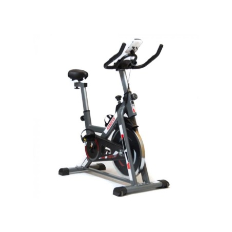 Bicicleta Fija Randers ARG-874SP | Disco 13 kg