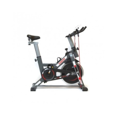 Bicicleta Fija Randers ARG-874SP | Disco 13 kg