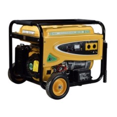 Grupo Electrogeno Niwa GNW-55E 5500W C/Arranque Electrico
